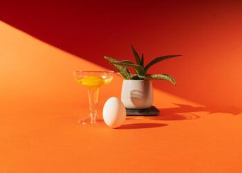 still life
