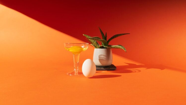 still life