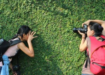 compenso come fotografo