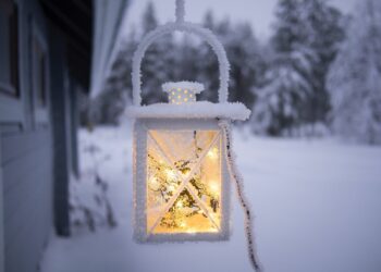 white pendant lamp hanging on ceiling outside of snow covered forest
