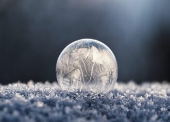 focus photo of round clear glass bowl