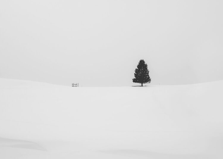 Minimalismo